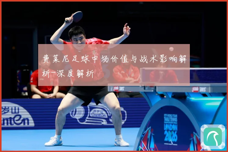 费莱尼足球中场价值与战术影响解析-深度解析