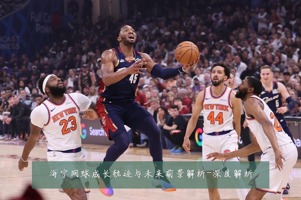 海宁网球成长轨迹与未来前景解析-深度解析